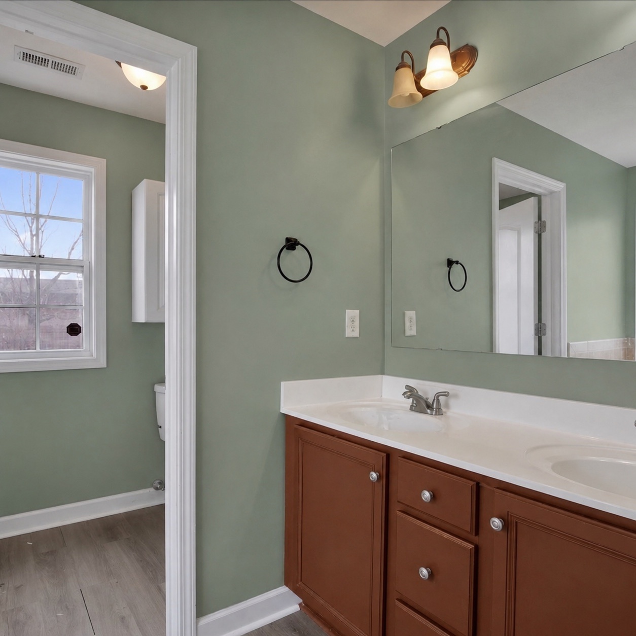 Bathroom vanity with two sinks